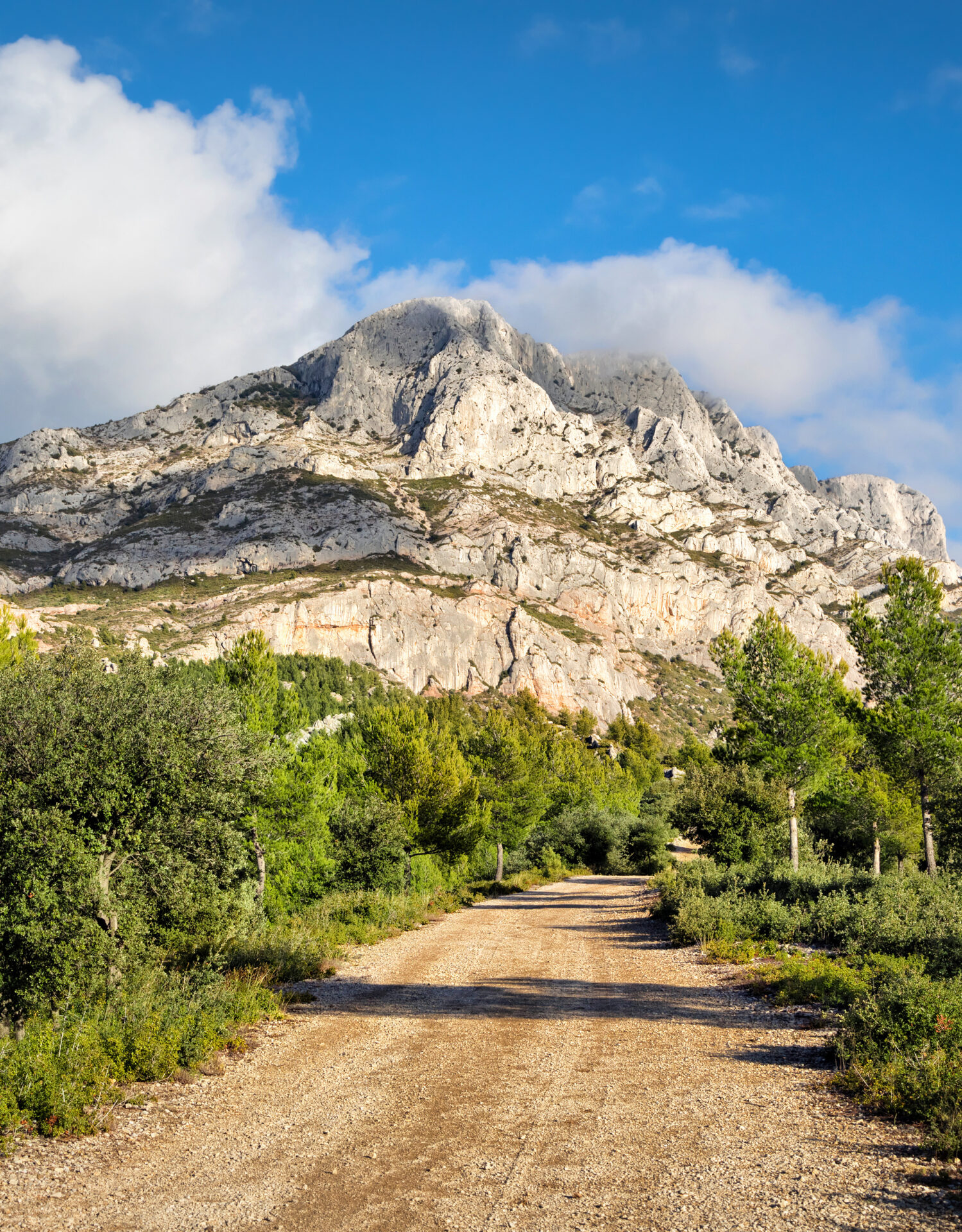 Infos Pratiques 2021  Congrès GynaixOptis  Aix en Provence